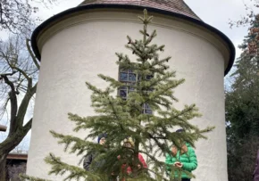 Der lebendige Weihnachtsbaum vor der Kirche in Brausndorf | Foto: H.-J. Schröter