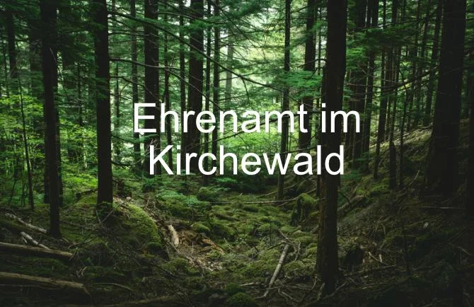 kirchwald24