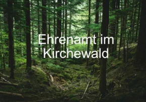 kirchwald24 | Foto: https://unsplash.com/de