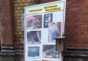 Ein Plakat mit Bildern von den Nistplätzen im Kirchturm | Foto: Günter Korge